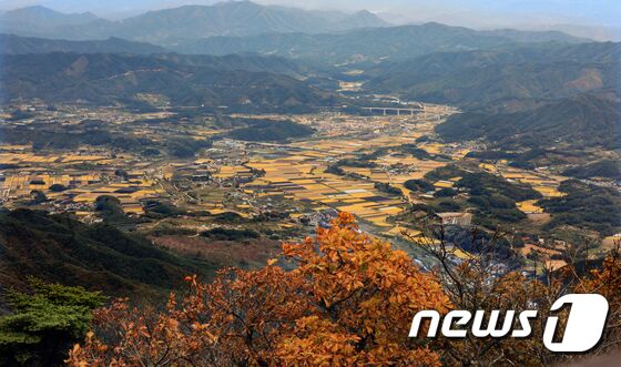 전북 무주군 덕유산에서 바라본 한 농촌마을이 노랗게 익은 벼와 함께 멋진 풍경을 만들고 있다. /뉴스1 © News1 