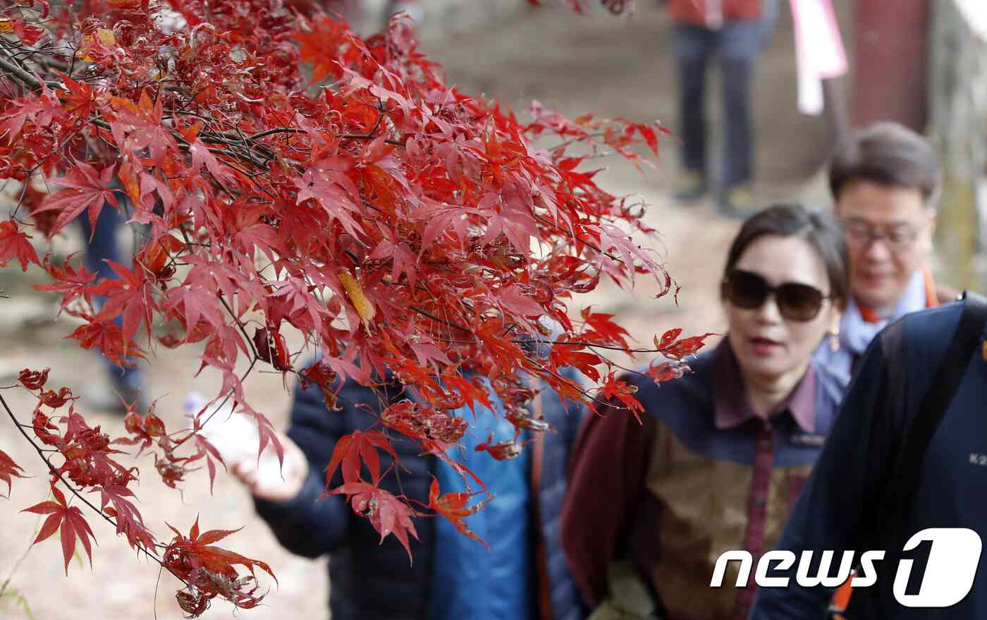 경기도 광주시 남한산성을 찾은 시민들이 산행을 하고 있다./뉴스1 © News1 이승배 기자