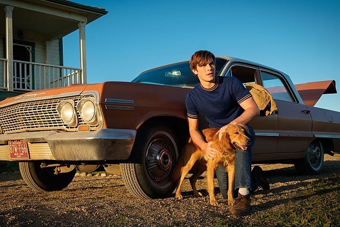 본문 이미지 - 영화 베일리 어게인 스틸 이미지. ⓒ News1