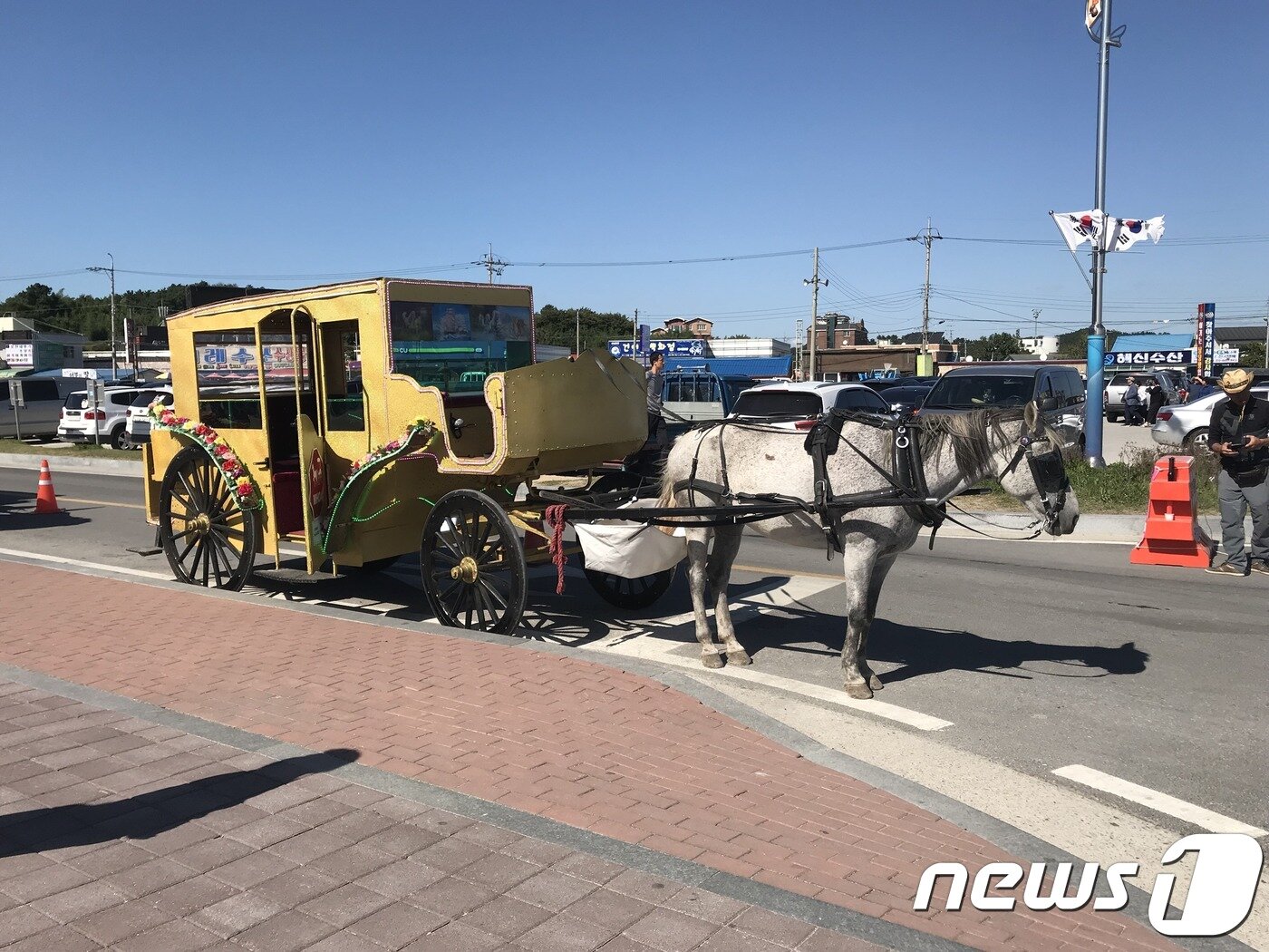 본문 이미지 - 폭염속 충남 홍성군 남당항 꽃게 축제 현장에서 손님들을 기다리는 꽃마차.ⓒ News1