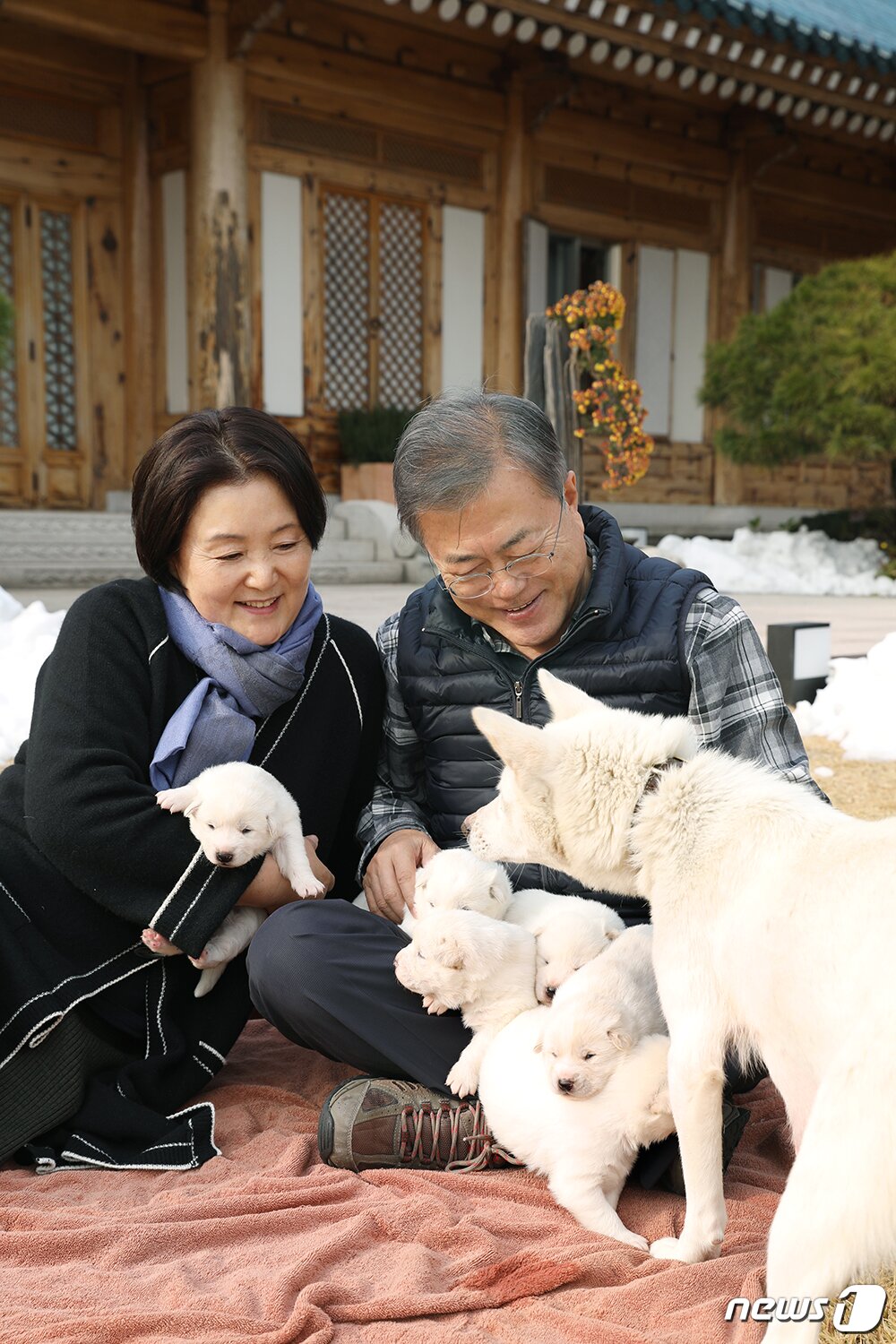 본문 이미지 - 문재인 대통령과 부인 김정숙 여사가 25일 청와대 관저 앞마당에서 풍산개 '곰이'의 새끼 6마리를 살피고 있다. '곰이'는 김정은 북한 국무위원장 부부가 지난 9월 평양 남북정상회담 때 선물했다.(청와대 제공) 2018.11.25/뉴스1