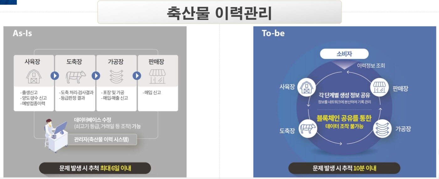 본문 이미지 - ⓒ News1