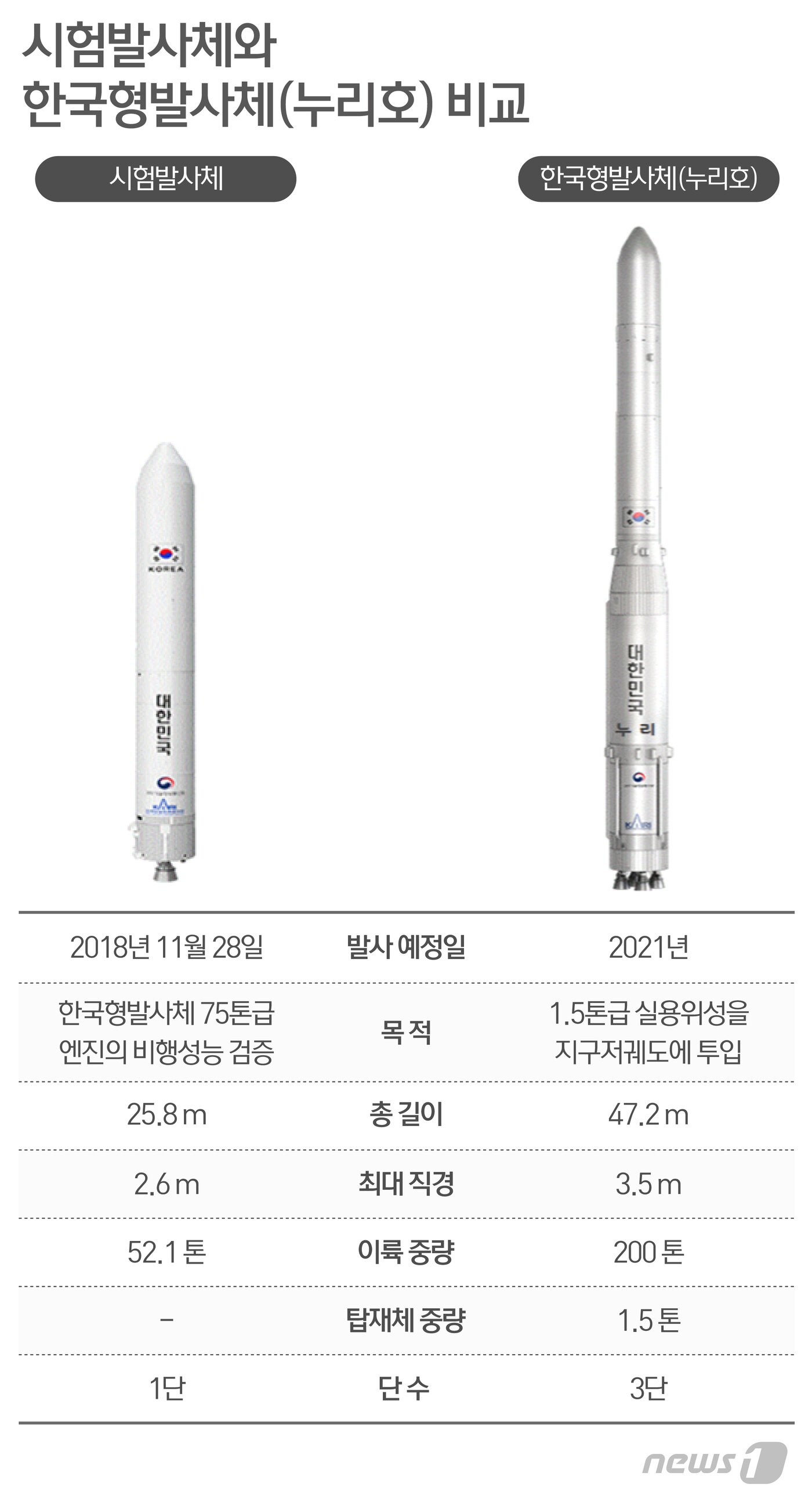 본문 이미지 - ⓒ News1 최수아 디자이너