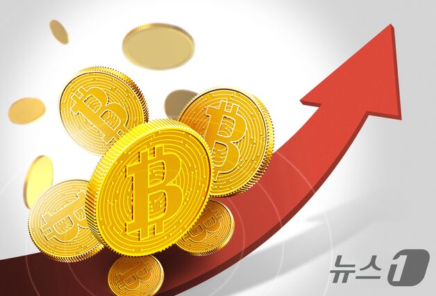 '역프리미엄'에도…비트코인, 국내 가격 1억6600만원 역대 '신고가'