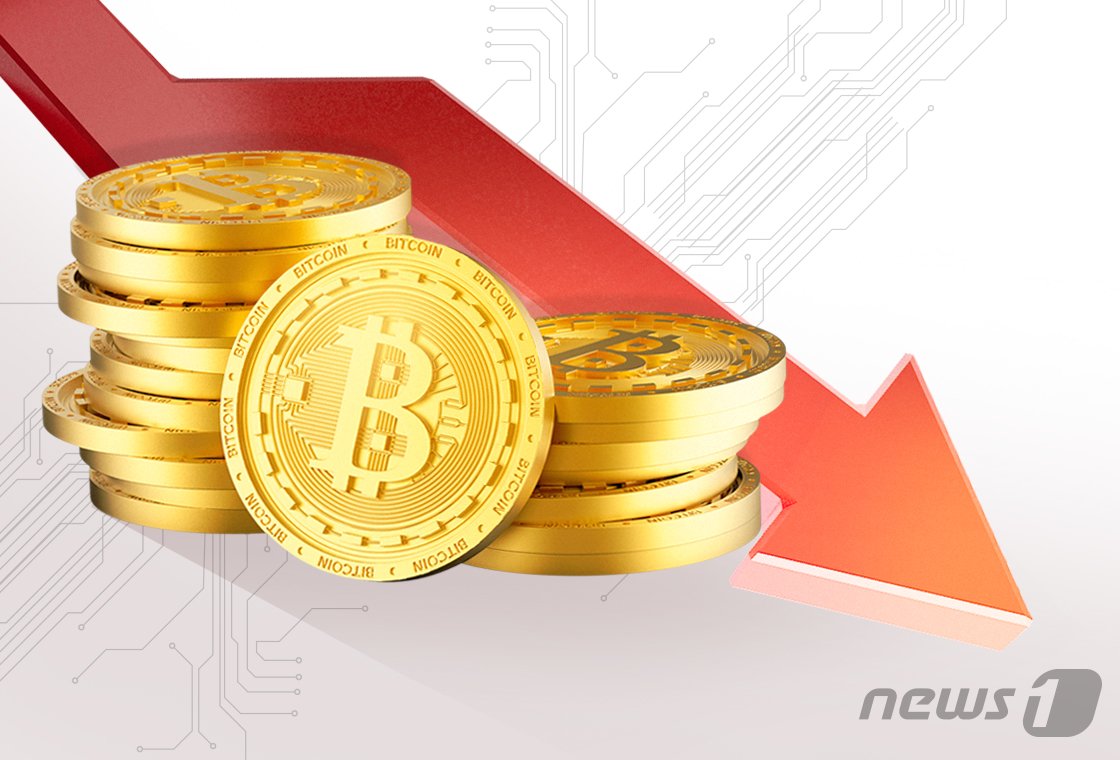 본문 이미지 - ⓒ News1 DB