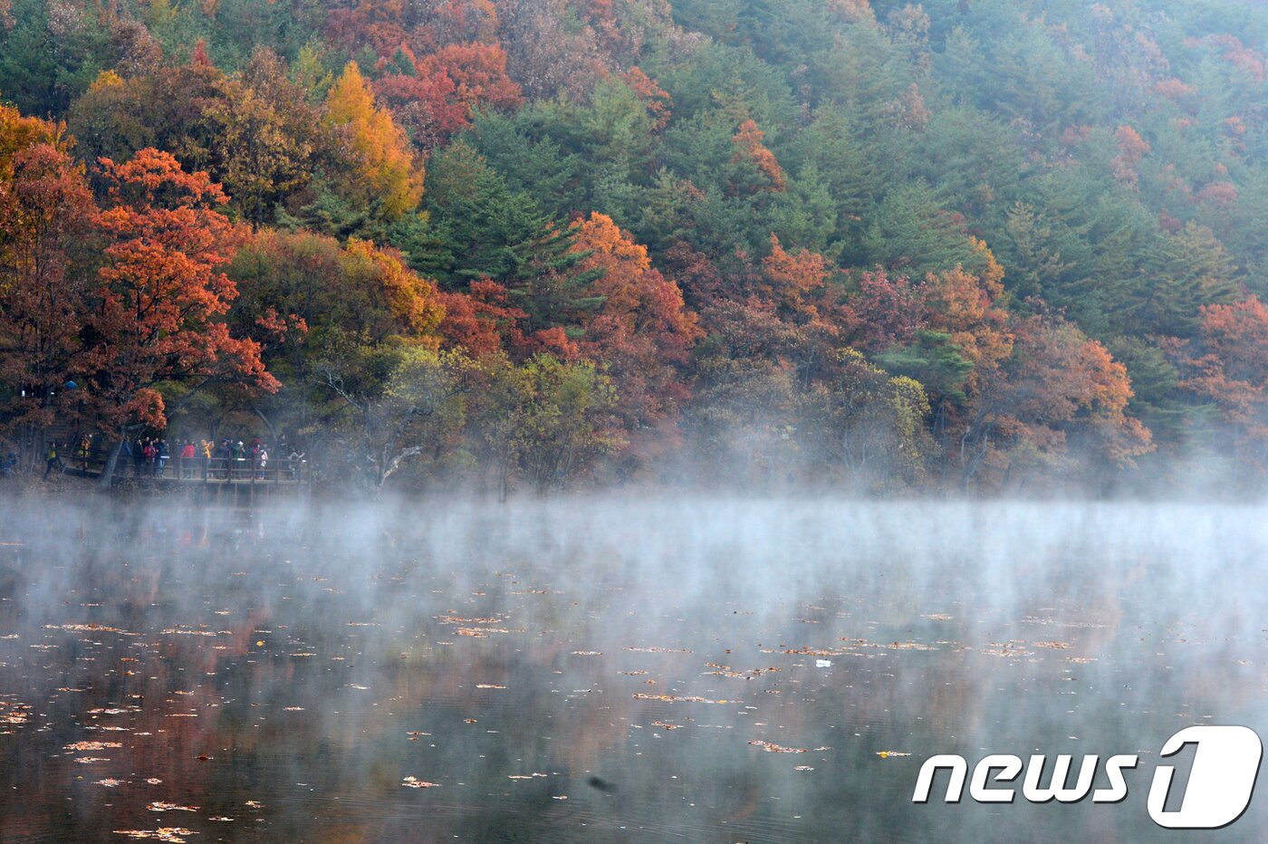 본문 이미지 - 가을 끝자락인 3일 경북 청송군 부동면 주산지 수면위로 물안개가 피어오르고 있다./뉴스1