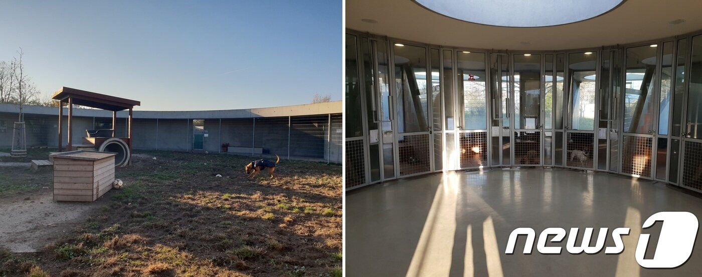 본문 이미지 - 티어하임 베를린의 개 보호구역. 가운데 설치된 놀이터에서 개들이 뛰놀 수 있게 돼있다.ⓒ News1 이기림 기자