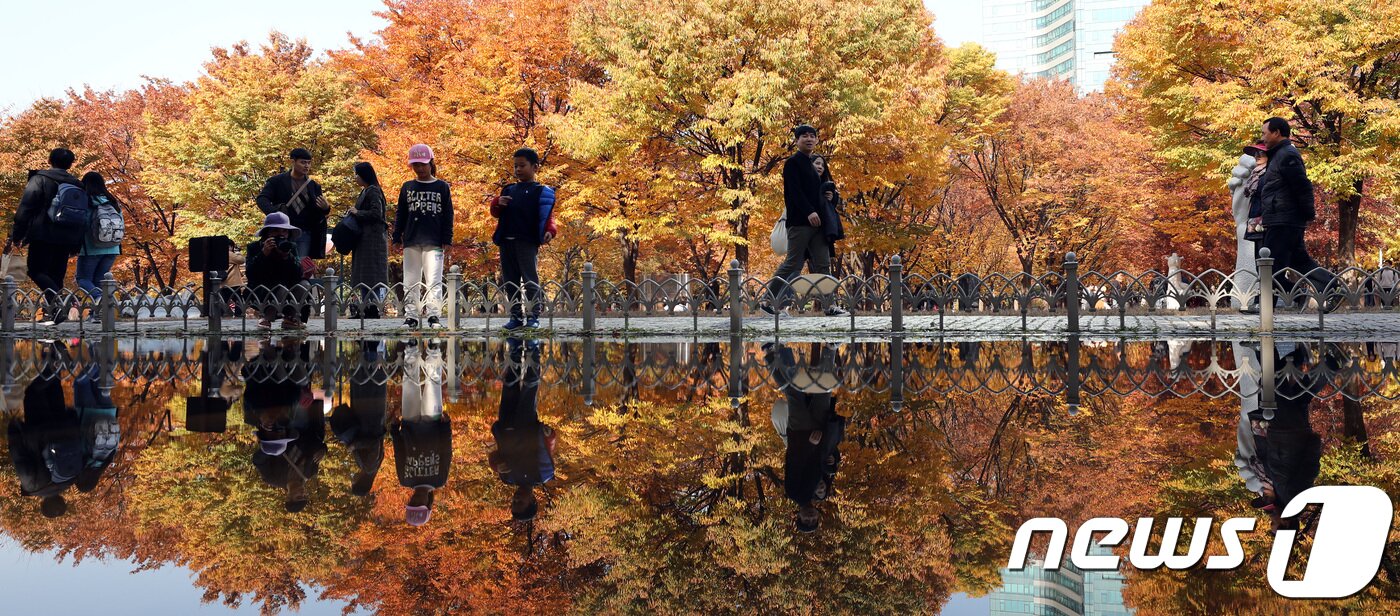 본문 이미지 - 서울 성동구 서울숲은 찾은 시민들이 울긋불긋 물든 나무 아래서 휴일을 즐기고 있다. 2018.11.4/뉴스1 ⓒ News1 박정호 기자