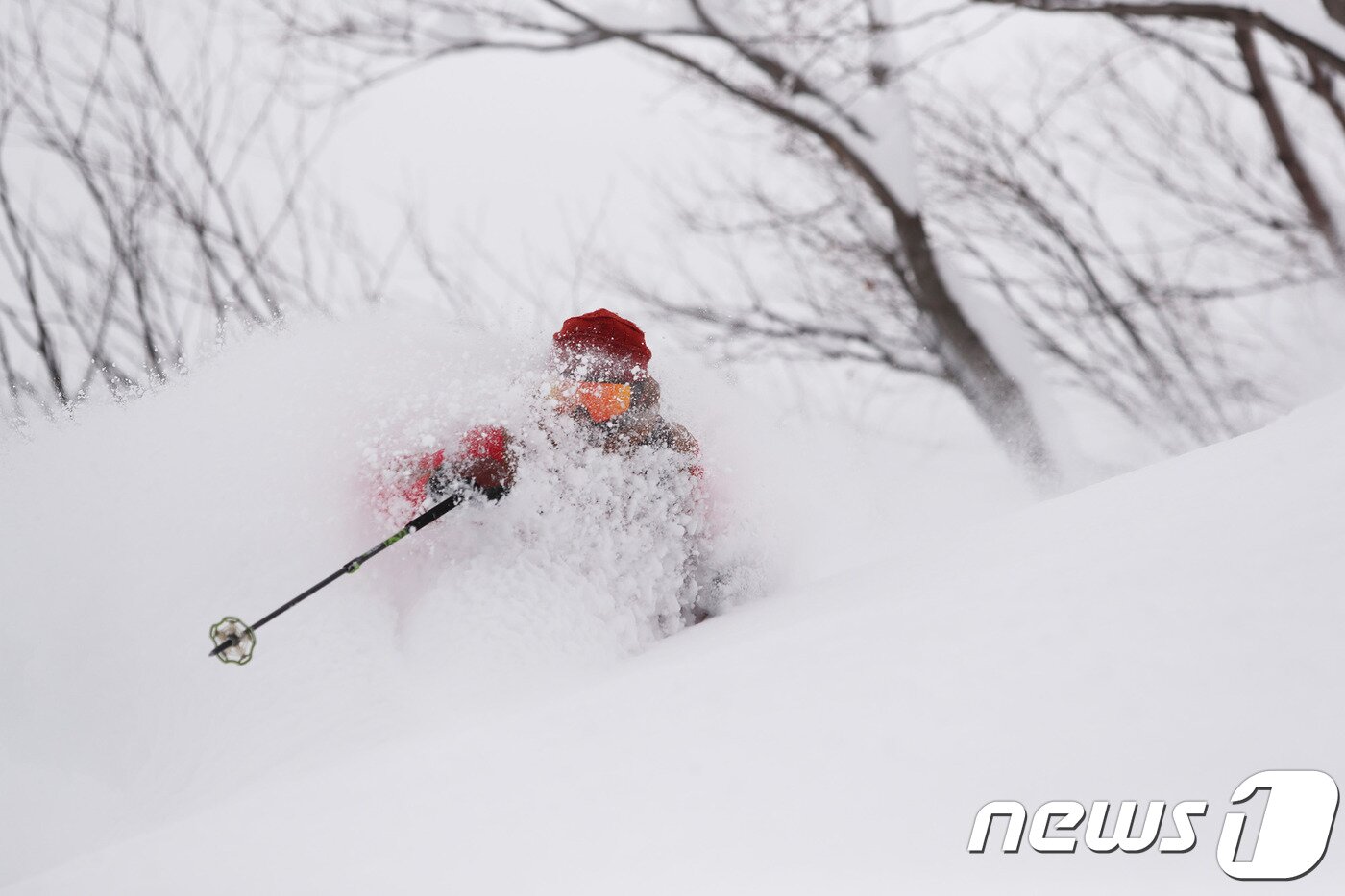 본문 이미지 - ⓒ News1
