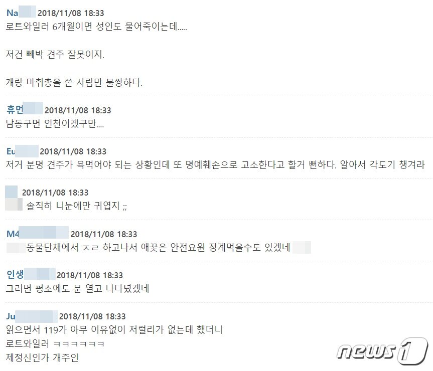 본문 이미지 - 사진 로트와일러 견주 비난댓글. ⓒ News1
