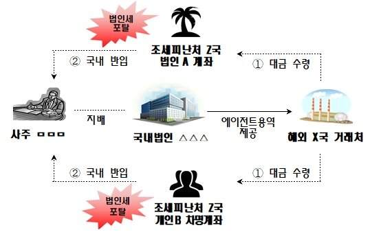 본문 이미지 - 조세포탈사례.(국세청 제공)ⓒ News1