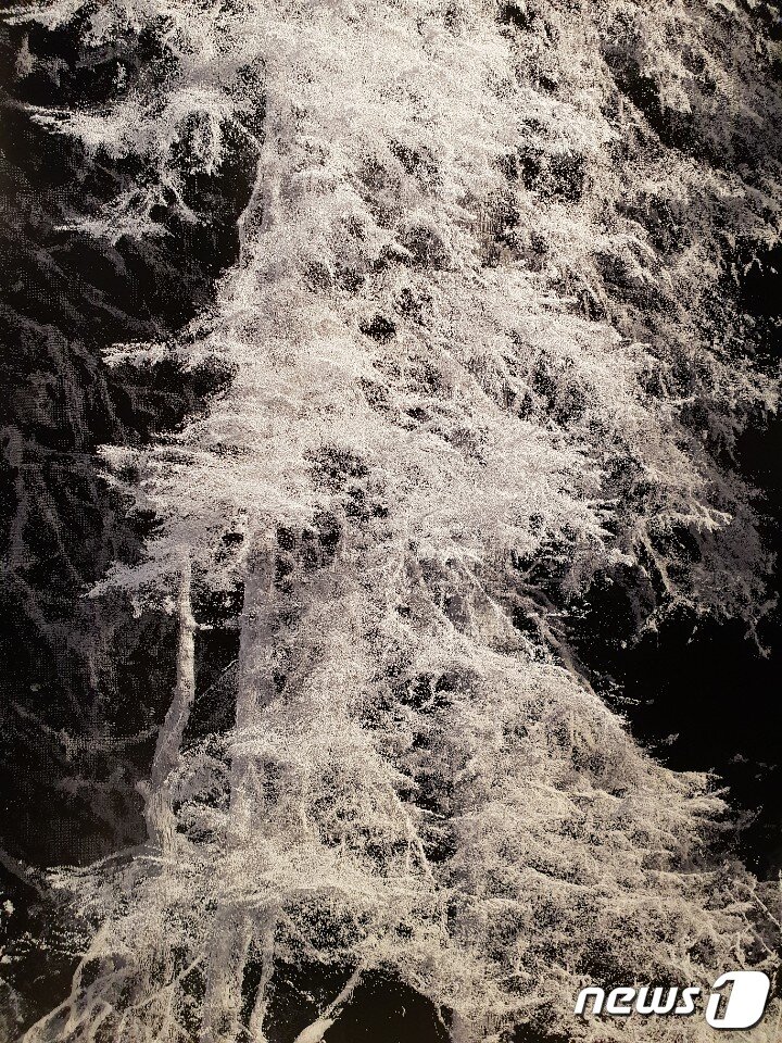 본문 이미지 - 콰욜라 '리메인즈'ⓒ News1