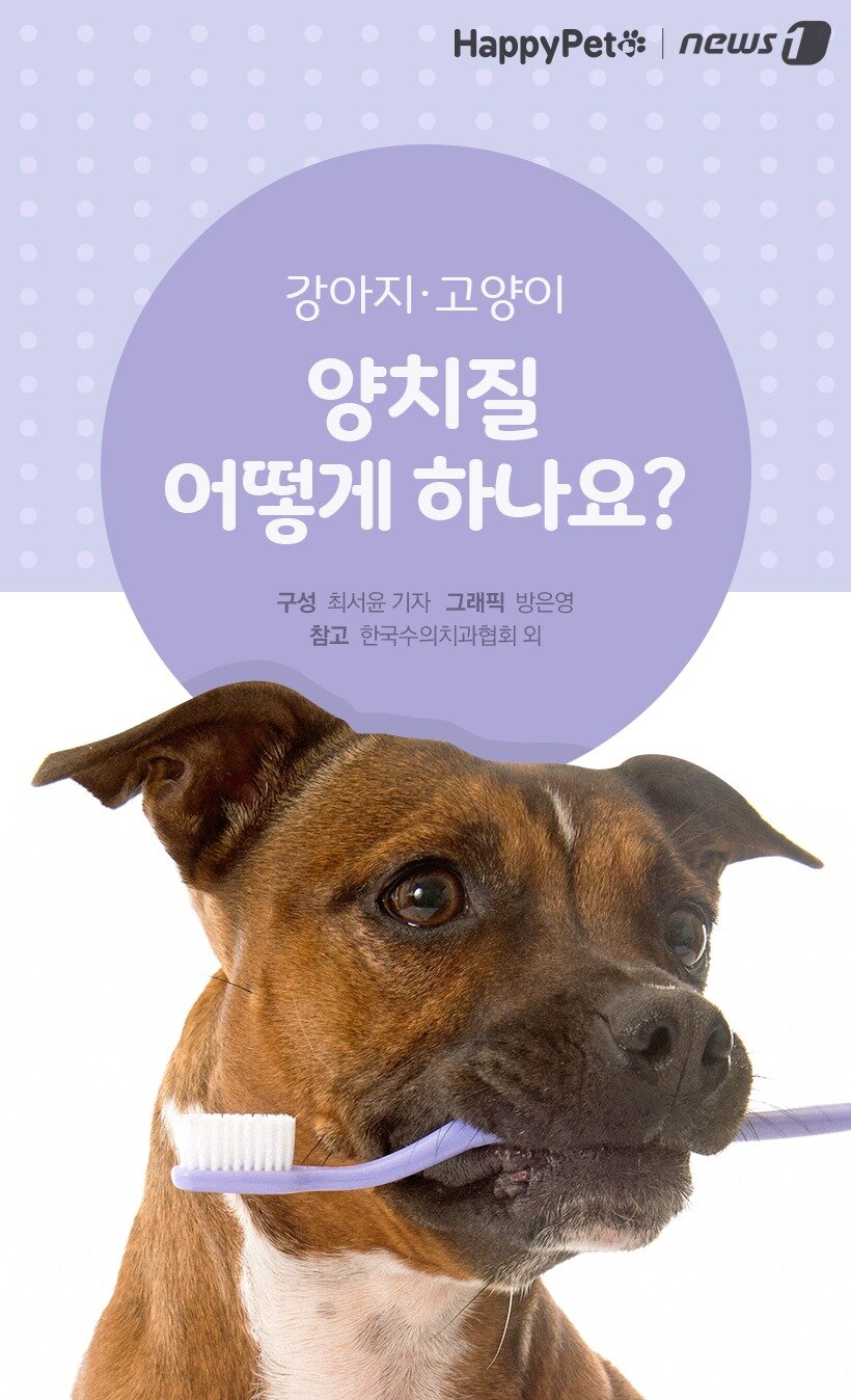 본문 이미지 -  