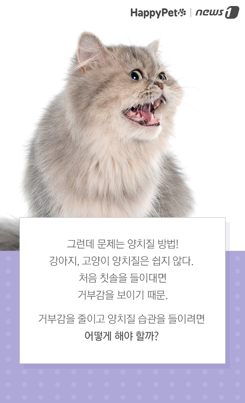 본문 이미지 -  