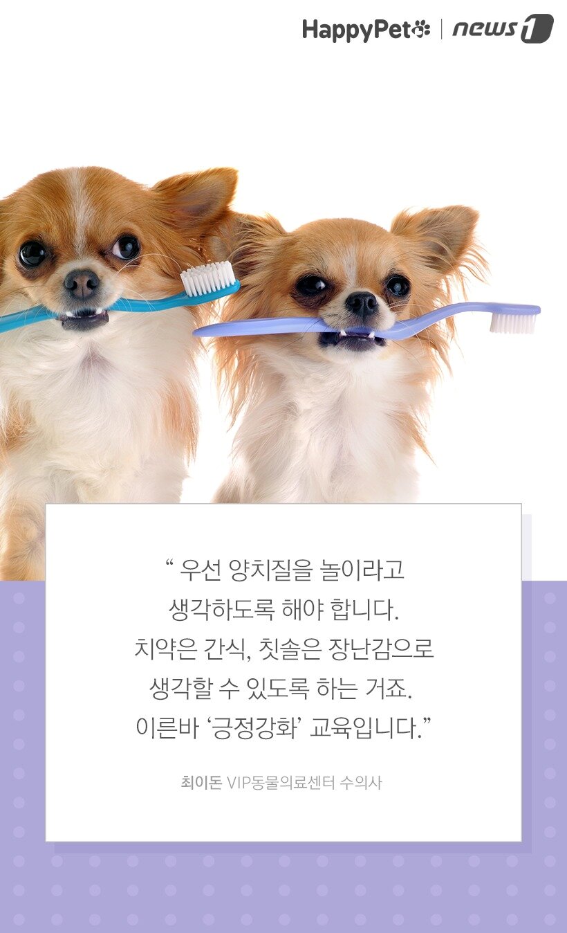 본문 이미지 -  
