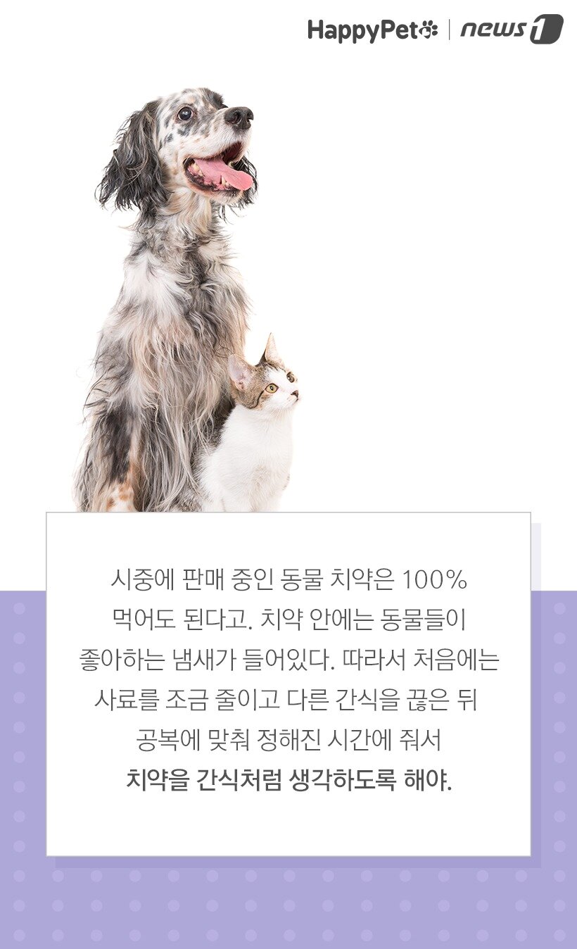 본문 이미지 -  