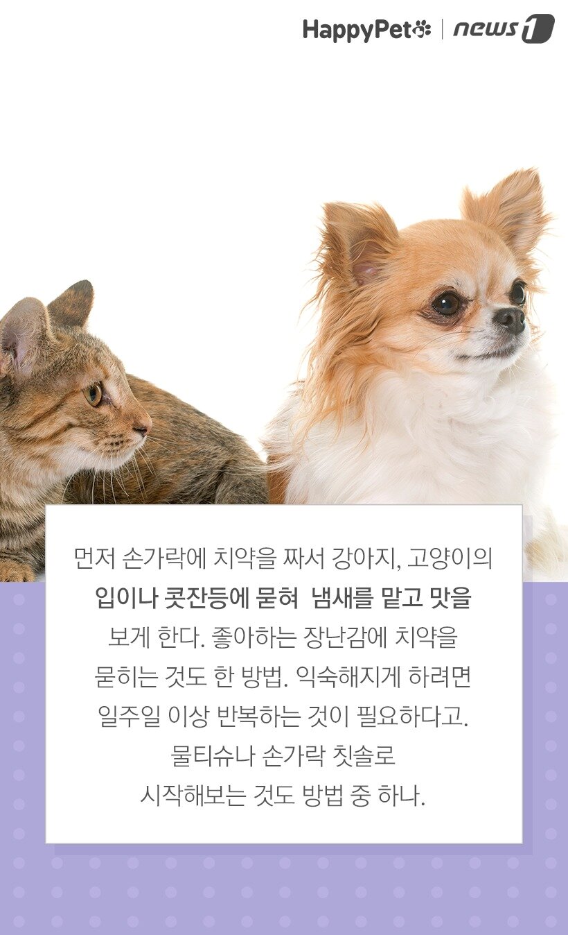 본문 이미지 -  