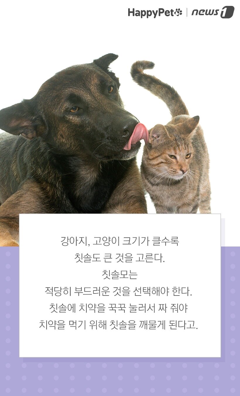 본문 이미지 -  