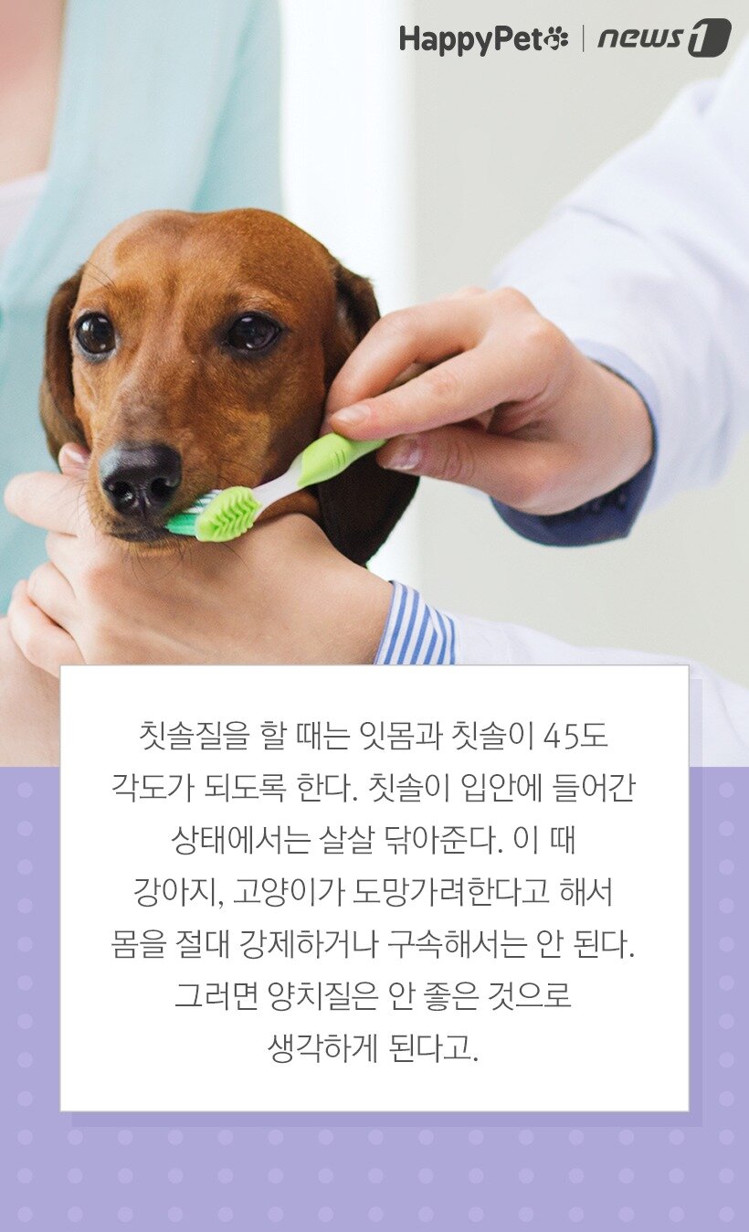 본문 이미지 -  