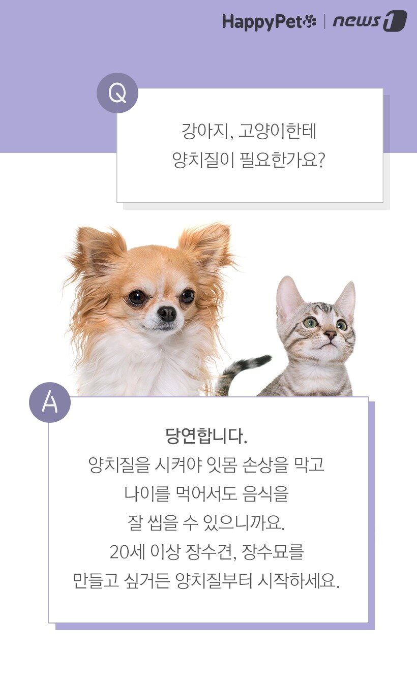 본문 이미지 -  