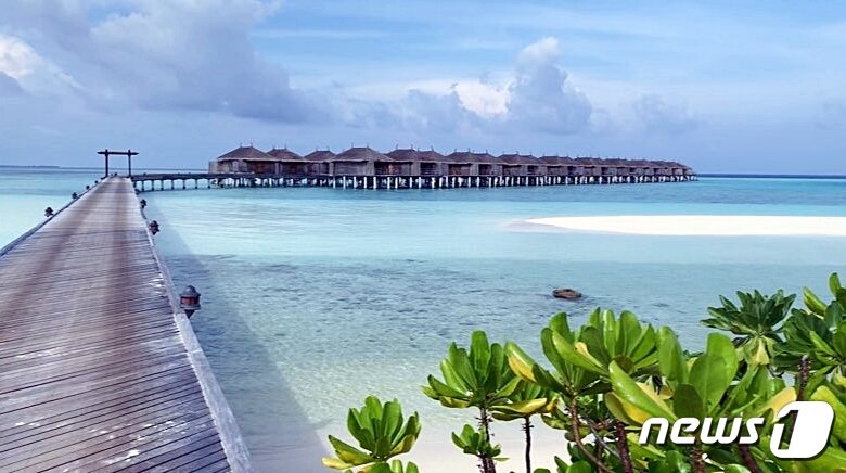 본문 이미지 - 수상 방갈로 객실인 '워터빌라'로 가는 기다란 목조다리ⓒ News1 