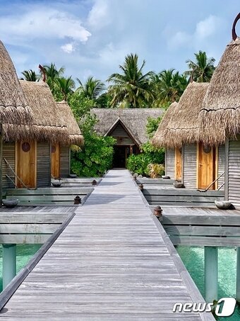 본문 이미지 - 초가지붕을 얹은 오두막 형태의 건물들은 주변 자연의 경관을 해치기는커녕 어우러진다.ⓒ News1 