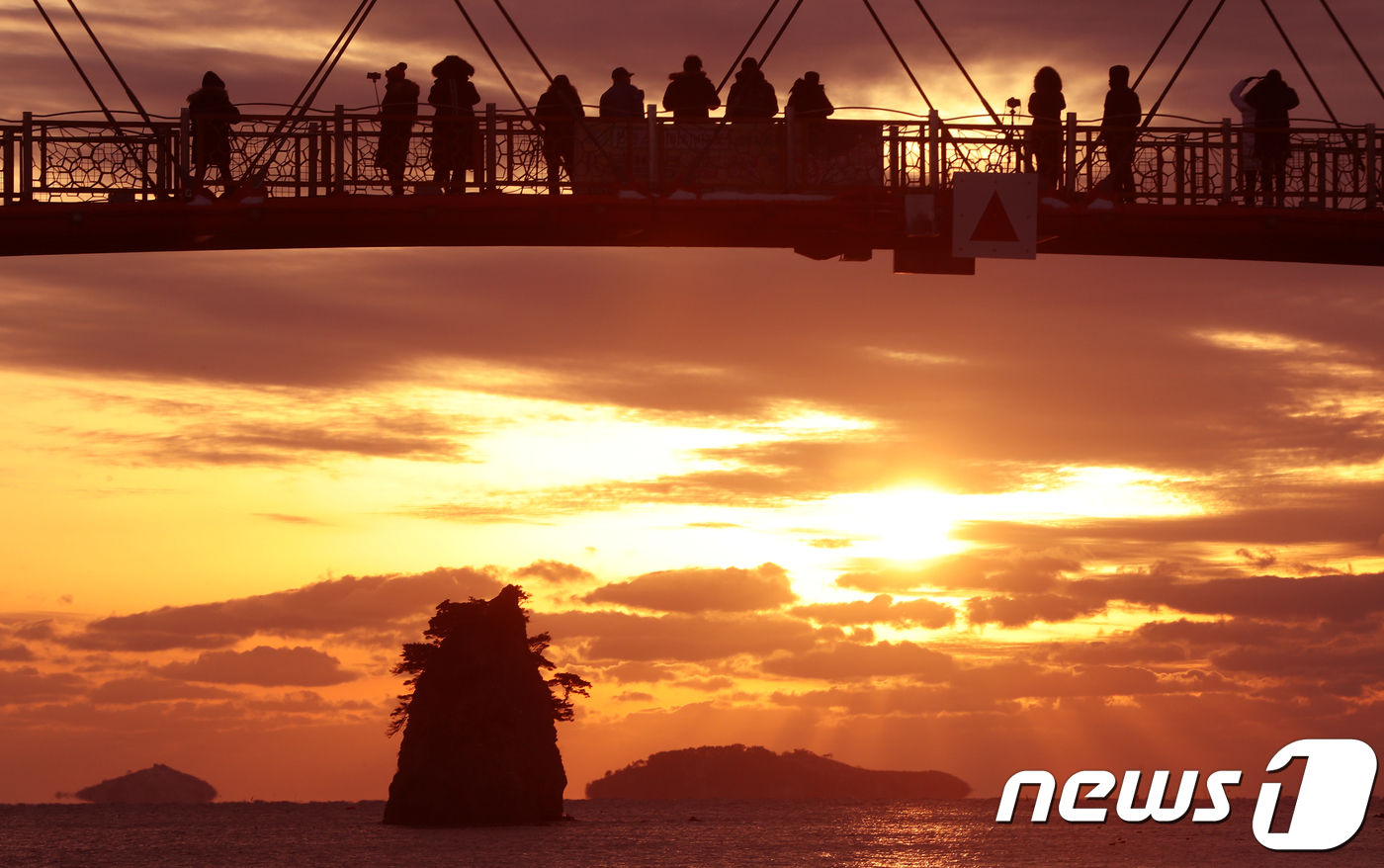 (태안=뉴스1) 주기철 기자 = 2018년 무술년 (戊戌年)의 해가 저물어 간다.  저마다 희망을 품고 힘차게 출발했던 무술년. 다사다난 했던 한해동안 즐거웠던 일도, 힘들었던 일 …