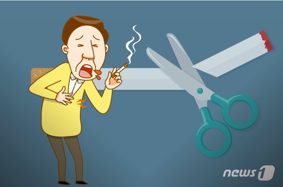 본문 이미지 - ⓒ News1 DB