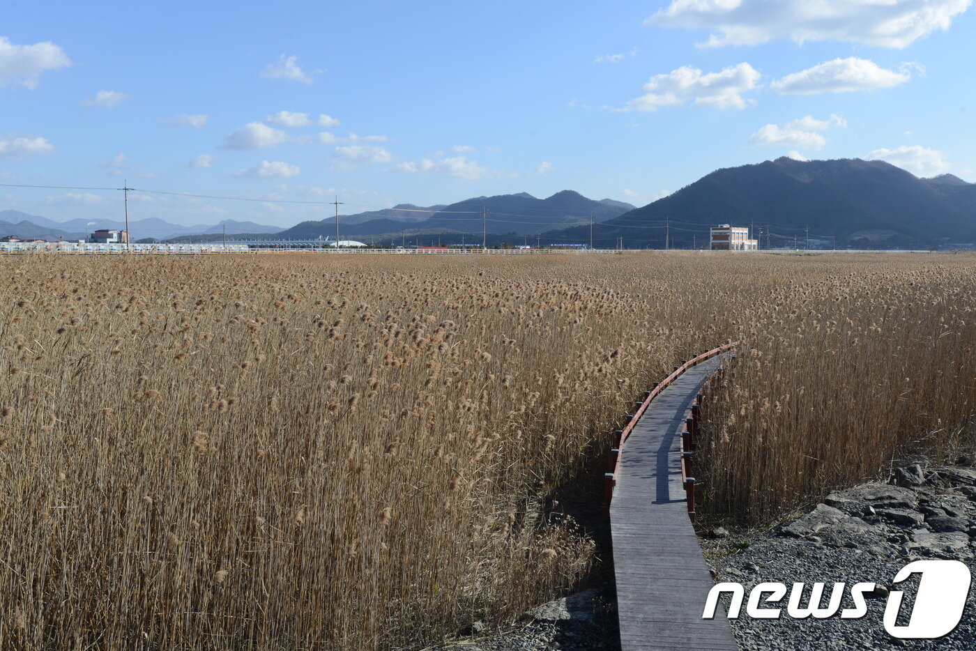 본문 이미지 - 전남 강진 정약용의 남도 유배길 02코스(한국관광공사 제공)/뉴스1ⓒ News1