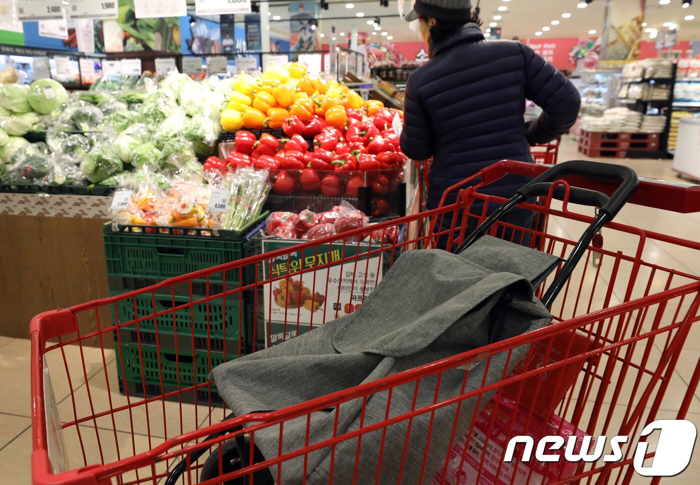 본문 이미지 - 지난해 12월4일 오전 서울의 한 대형마트에서 시민들이 장을 보고 있다. 2018.12.4/뉴스1 ⓒ News1 이재명 기자