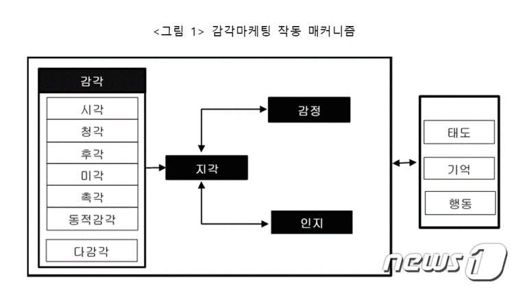 본문 이미지 - 단국대 제공ⓒ News1