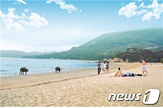 본문 이미지 - 청샤 해변. 홍콩관광청 제공ⓒ News1