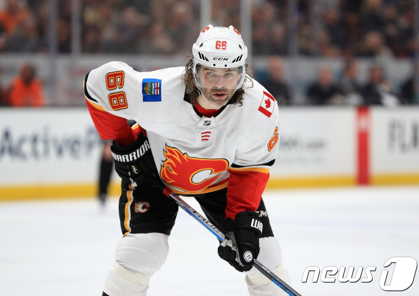 본문 이미지 - 체코 아이스하키의 전설 야거. ⓒ AFP=News1