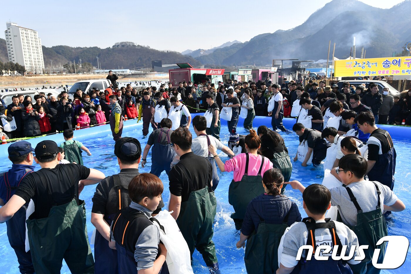 본문 이미지 - 지난 16일 강원 정선군 조양강변에서 열린 정선고드름축제장에서 관광객들이 맨손 송어잡기 체험장에서 송어를 잡고 있다. 2018.2.19/뉴스1 ⓒ News1 박하림 기자