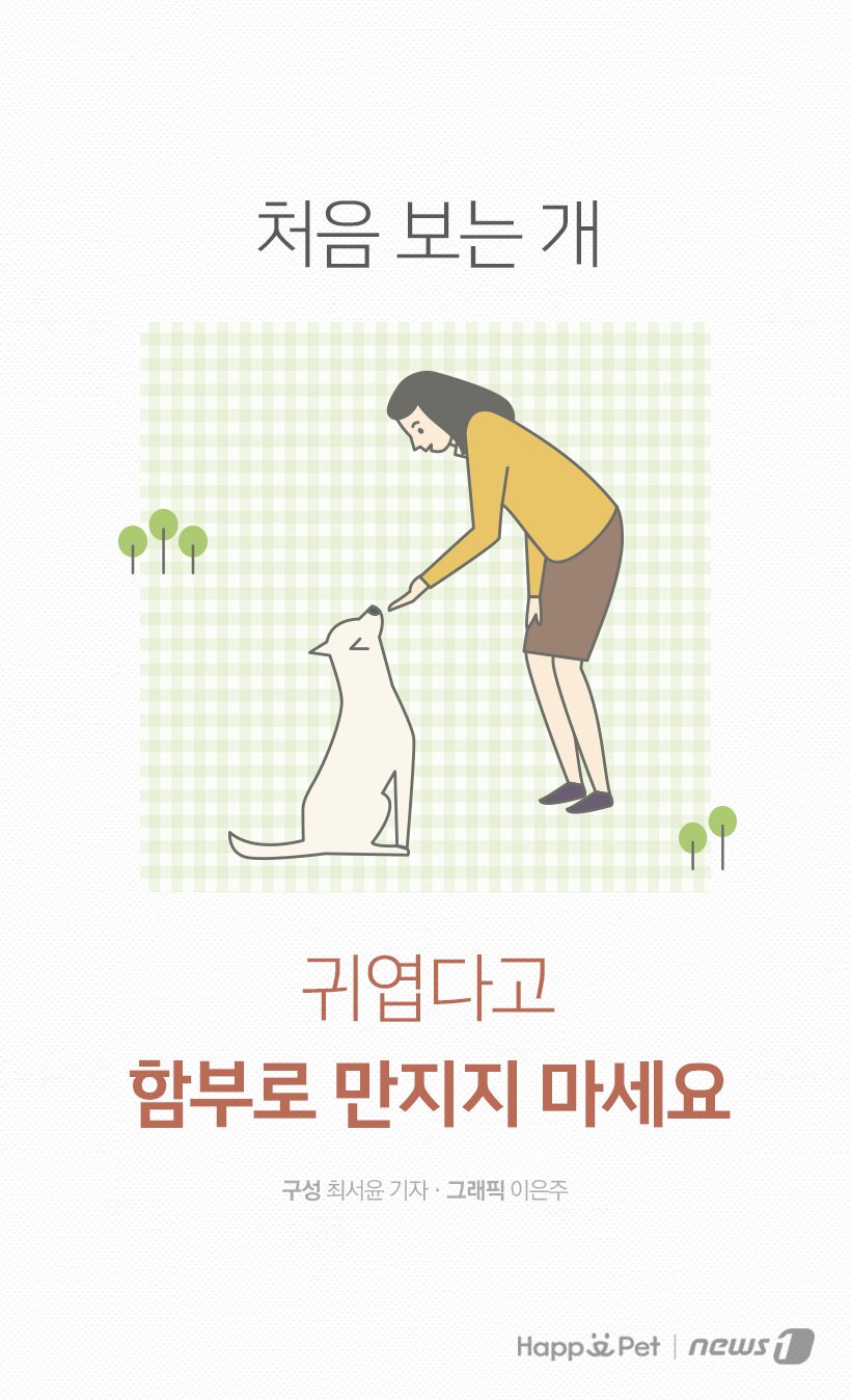 본문 이미지 -  
