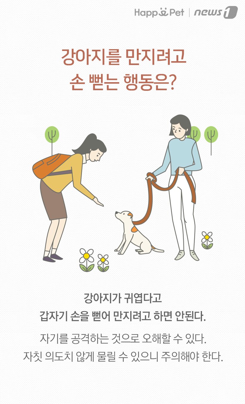 본문 이미지 -  