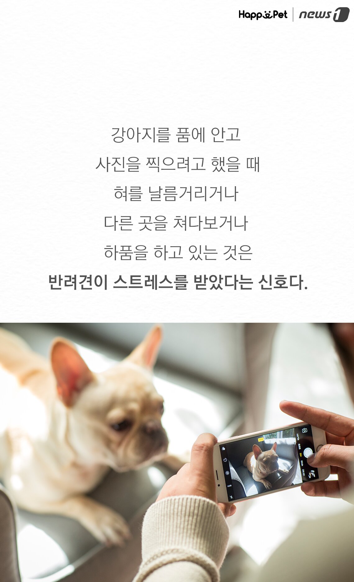 본문 이미지 -  
