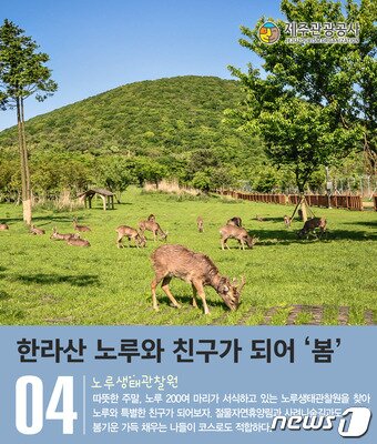 본문 이미지 - ⓒ News1