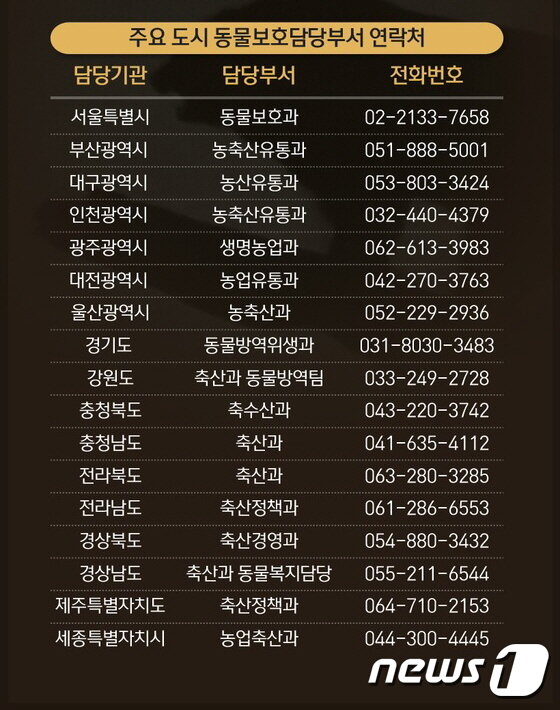 본문 이미지 - 주요 지자체 동물보호과 연락처. ⓒ News1