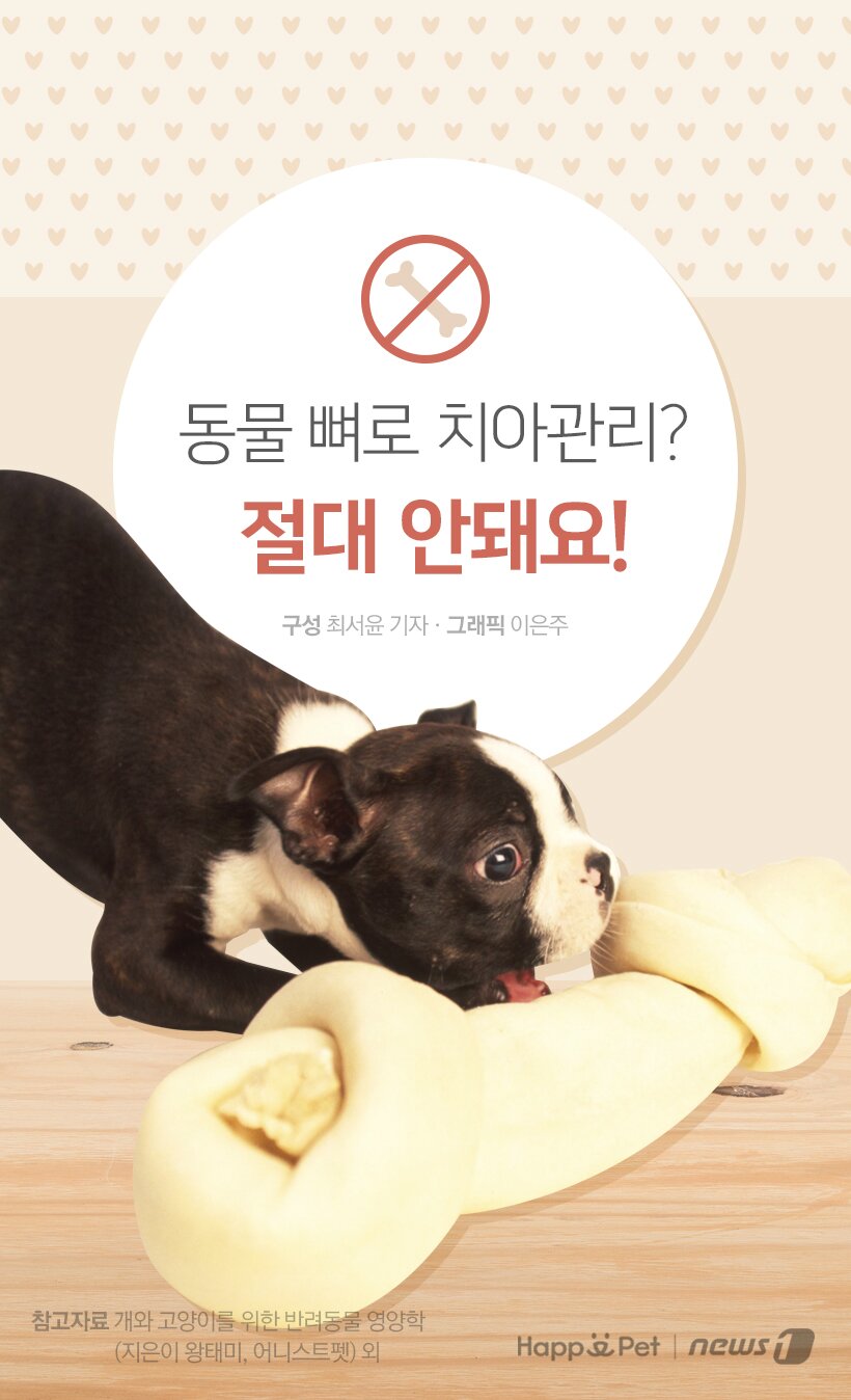 본문 이미지 - 참고자료 개와 고양이를 위한 반려동물 영양학(지은이 왕태미, 어니스트펫) 외.