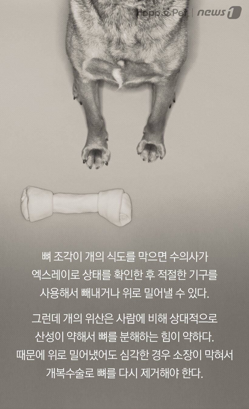 본문 이미지 -  
