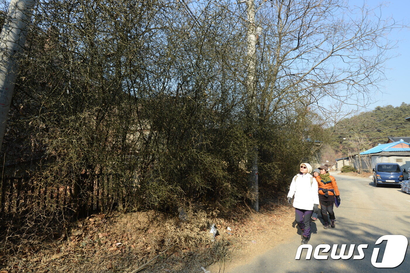 본문 이미지 - 대구 대구올레(팔공산 올레길) 4코스 평광동 왕건길