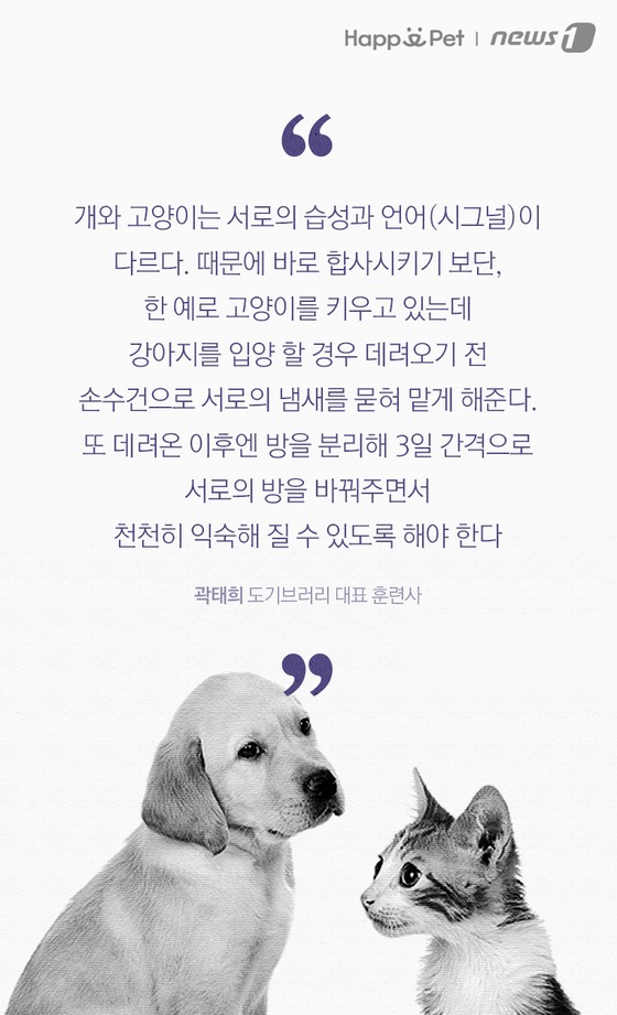 펫카드] 개와 고양이 '함께 키우려면?' - 뉴스1