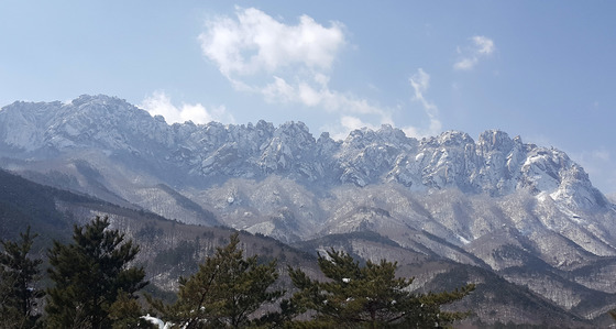 '울산바위 뷰' 고성 성인대서 사진 찍던 70대 40m 추락해 숨져(종합)