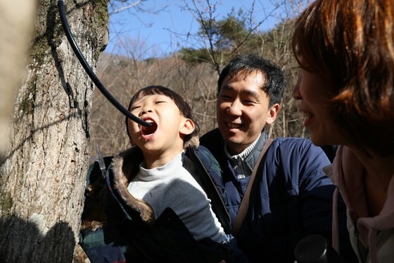 '진안고원 운장산 고로쇠 축제', 작은마을축제 평가 '최우수'