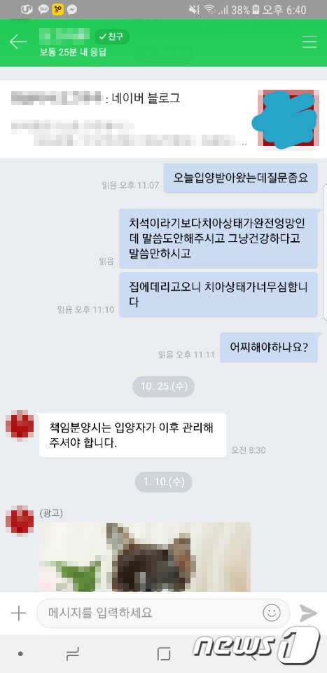 본문 이미지 - 해당 펫숍이 입양 보낼 때 강아지에 대한 사전 정보를 정확히 알리지 않은 정황. (사진 동물자유연대 제공)ⓒ News1