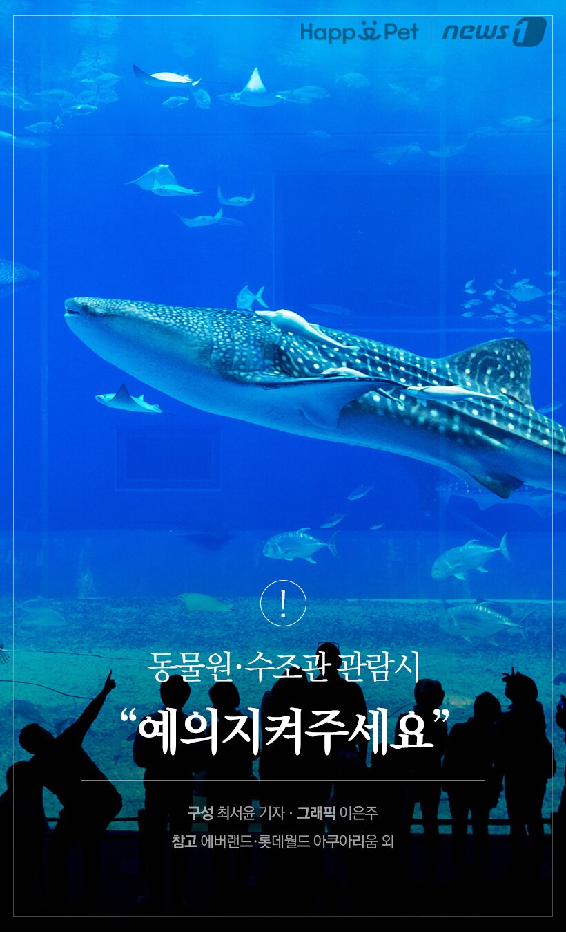 본문 이미지 -  참고 에버랜드, 롯데월드 아쿠아리움 외