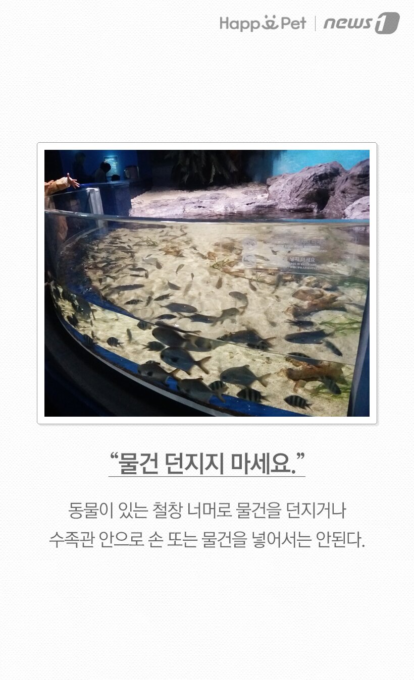 본문 이미지 -  