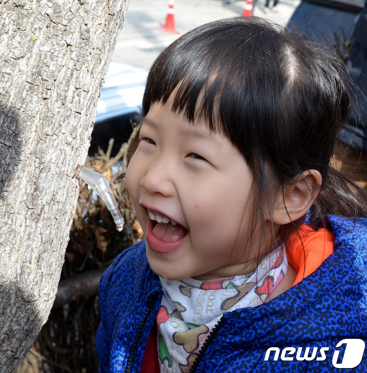 본문 이미지 - 17일 강원 인제군 상남면 미산1리 산림문화휴양관 일원에서 열린 제14회 미산계곡 방태산 고로쇠 축제에서 어린이가 고로쇠수액을 맛보고 있다. 고로쇠 축제는 18일까지 열린다. 2018.3.17/뉴스1 ⓒ News1 최석환 기자