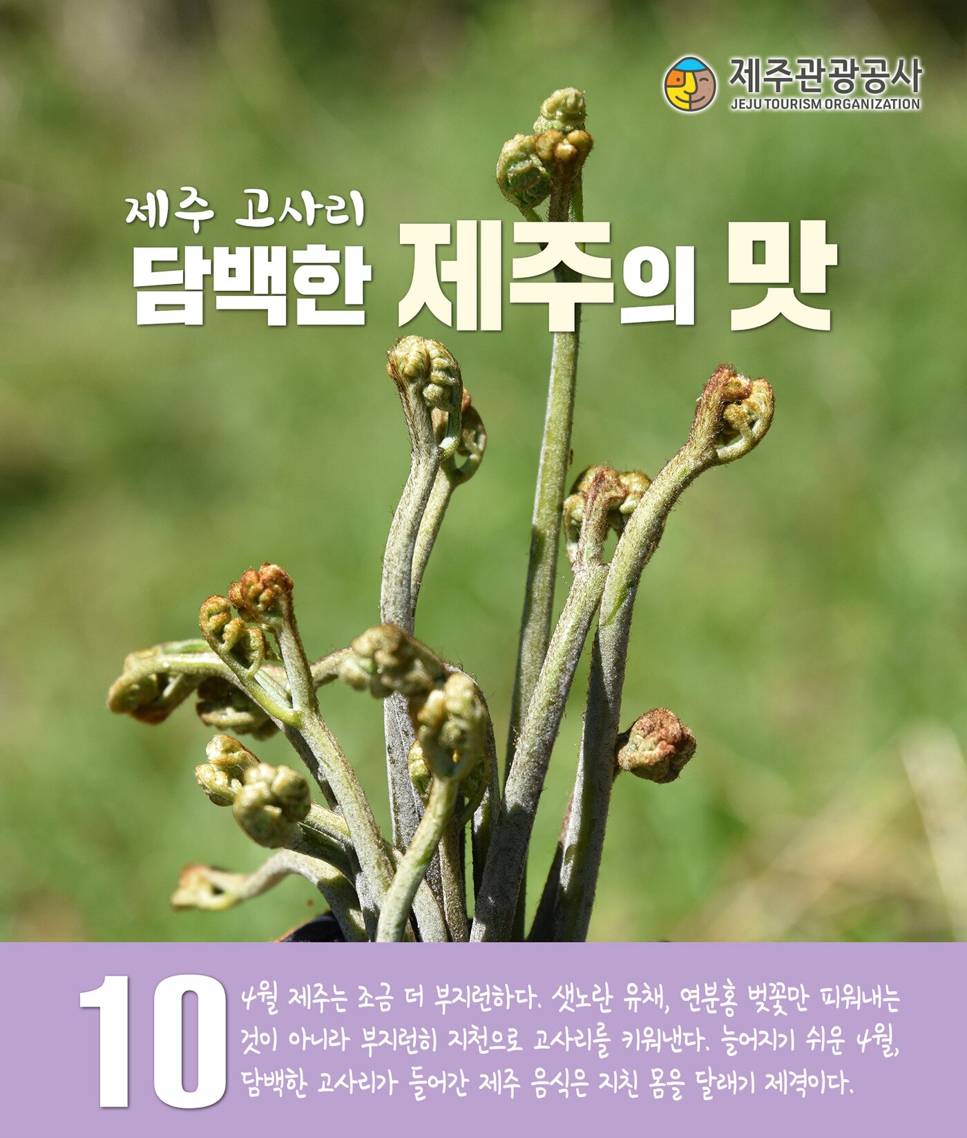 본문 이미지 - ⓒ News1